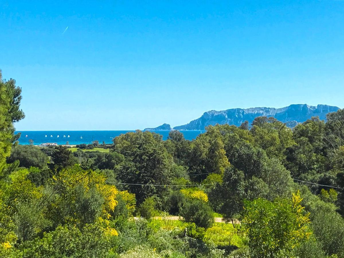 Sole Matto Bed & Breakfast Olbia
